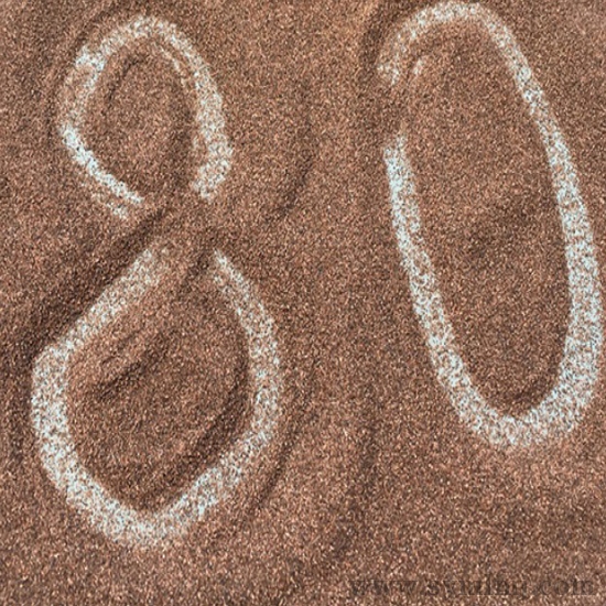 91抖阴视频免费看80目